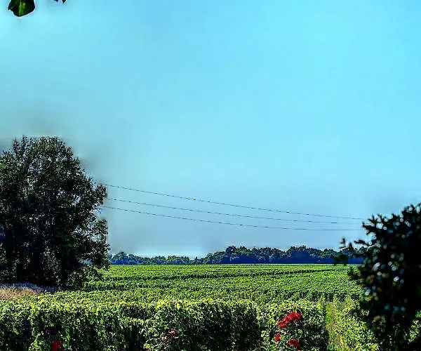 Chateau Vieux Mougnac * Petit-Palais-et-Cornemps