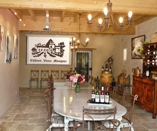 Chateau Vieux Mougnac Petit-Palais-et-Cornemps