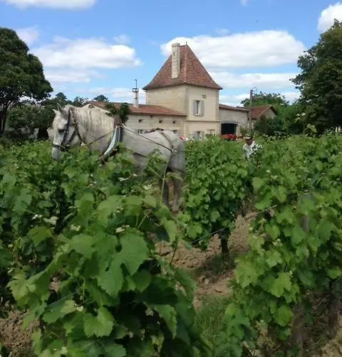 Vakantiehuis Chateau Vieux Mougnac